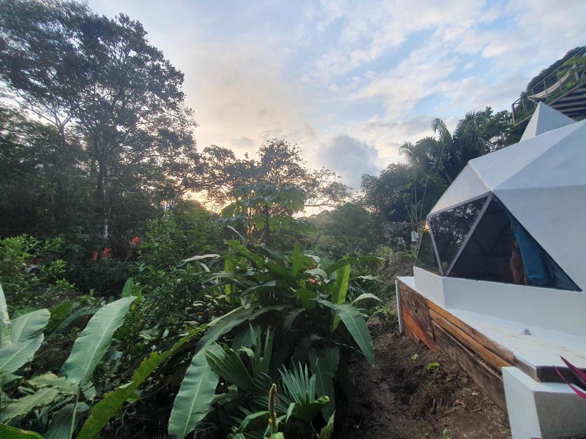 Glamping Tomaselli Hotell Manuel Antonio Exteriör bild