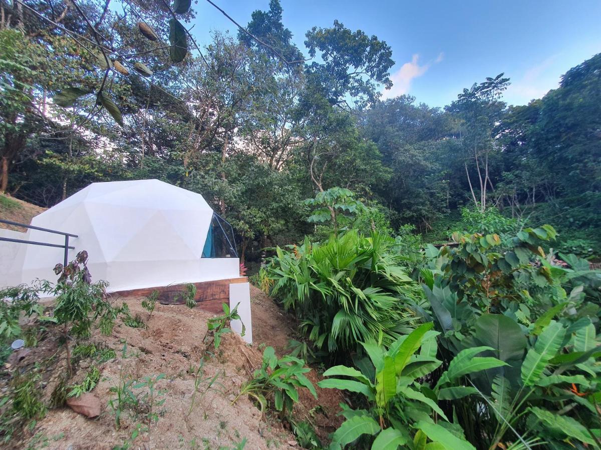 Glamping Tomaselli Hotell Manuel Antonio Exteriör bild